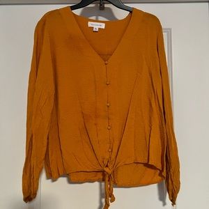 Popsugar Gold Tie Front Blouse